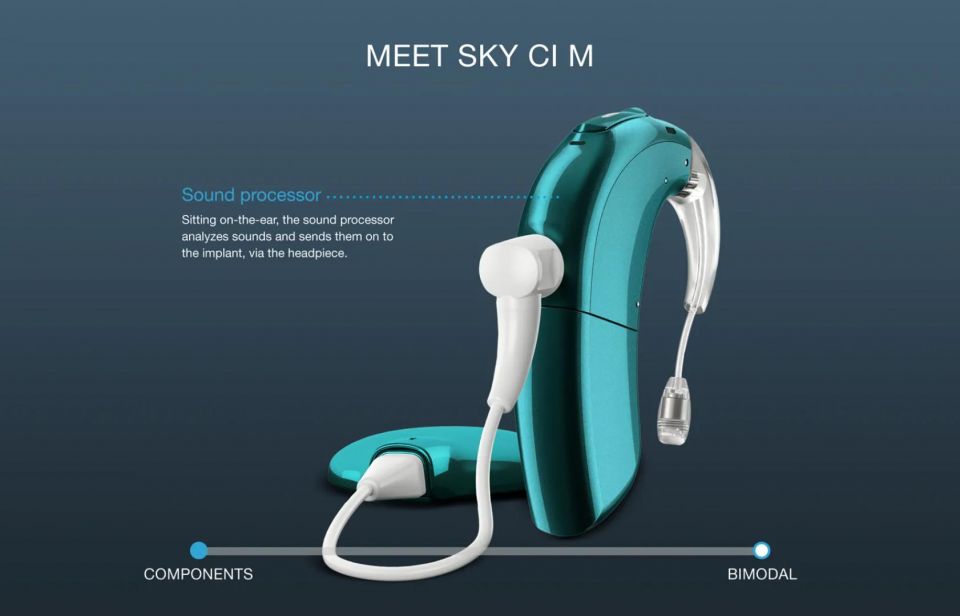 Shaba's Speech and hearing focus, Shaba's Speech, Shaba Speech, Dr Milind V Kirtane, Fatema Jagmaag